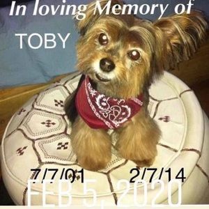 Meet your Posher, Jesus